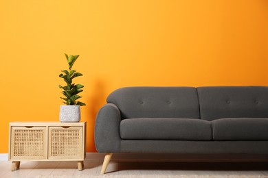 Photo of Stylish sofa and plant on side table near orange wall