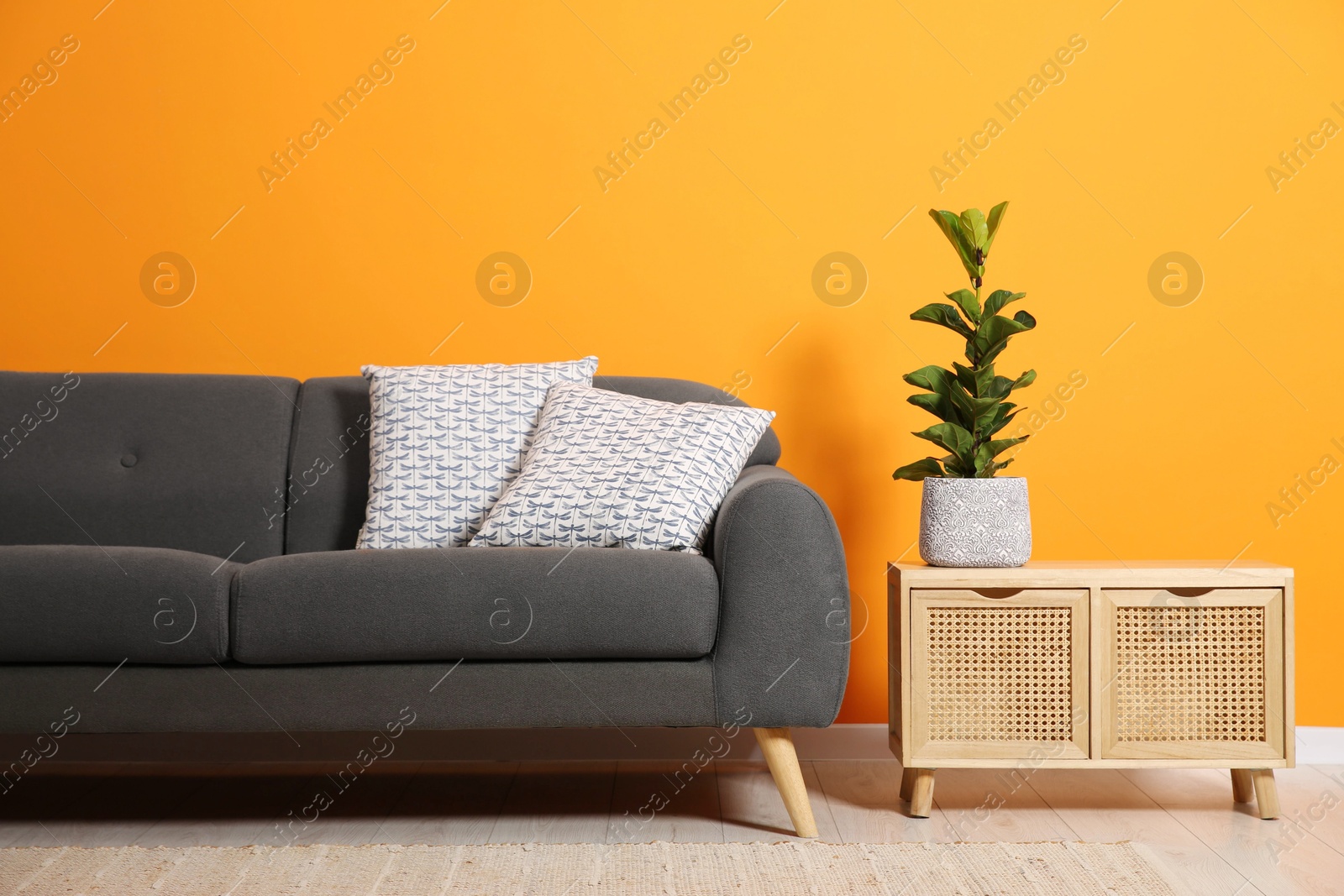 Photo of Stylish sofa with cushions and plant on side table near orange wall