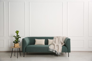 Photo of Stylish sofa with cushions, blanket and plant on side table near white wall