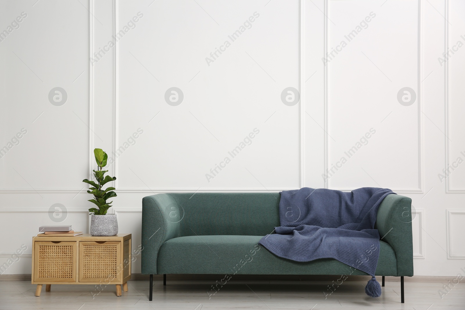 Photo of Stylish sofa with blanket, plant and books on side table near white wall