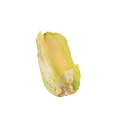 Photo of Half of peeled pistachio nut isolated on white