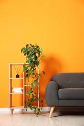 Photo of Stylish sofa and shelving unit with decor near orange wall indoors