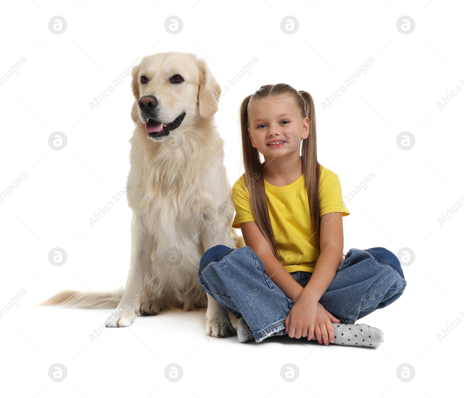 Photo of Girl with her cute Golden Retriever dog on white background