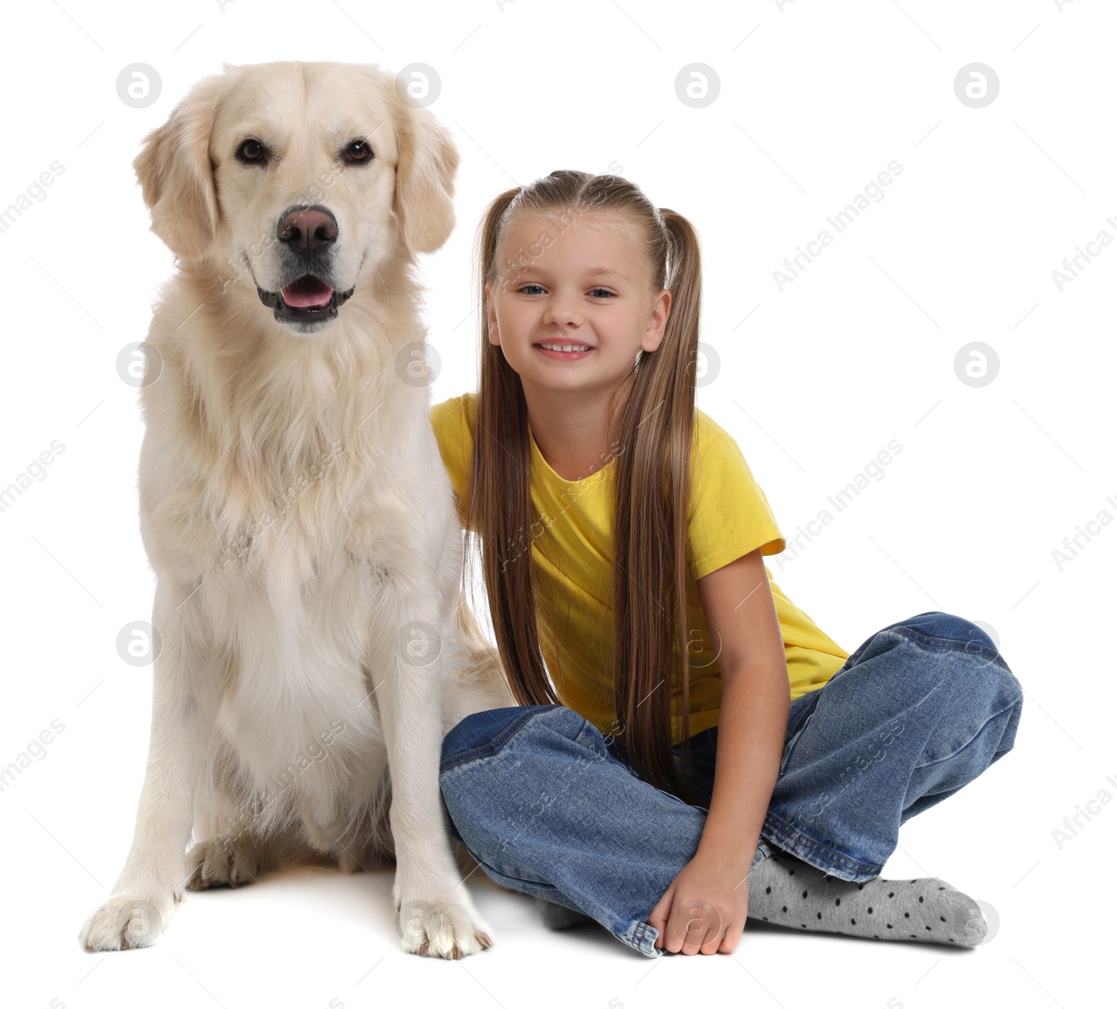 Photo of Girl with her cute Golden Retriever dog on white background