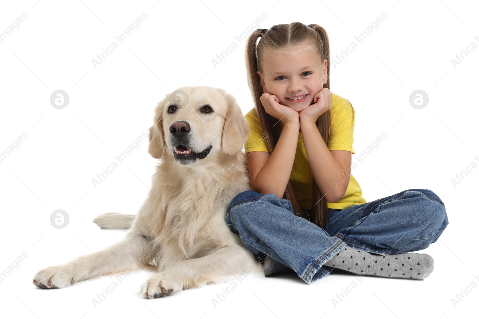 Photo of Girl with her cute Golden Retriever dog on white background