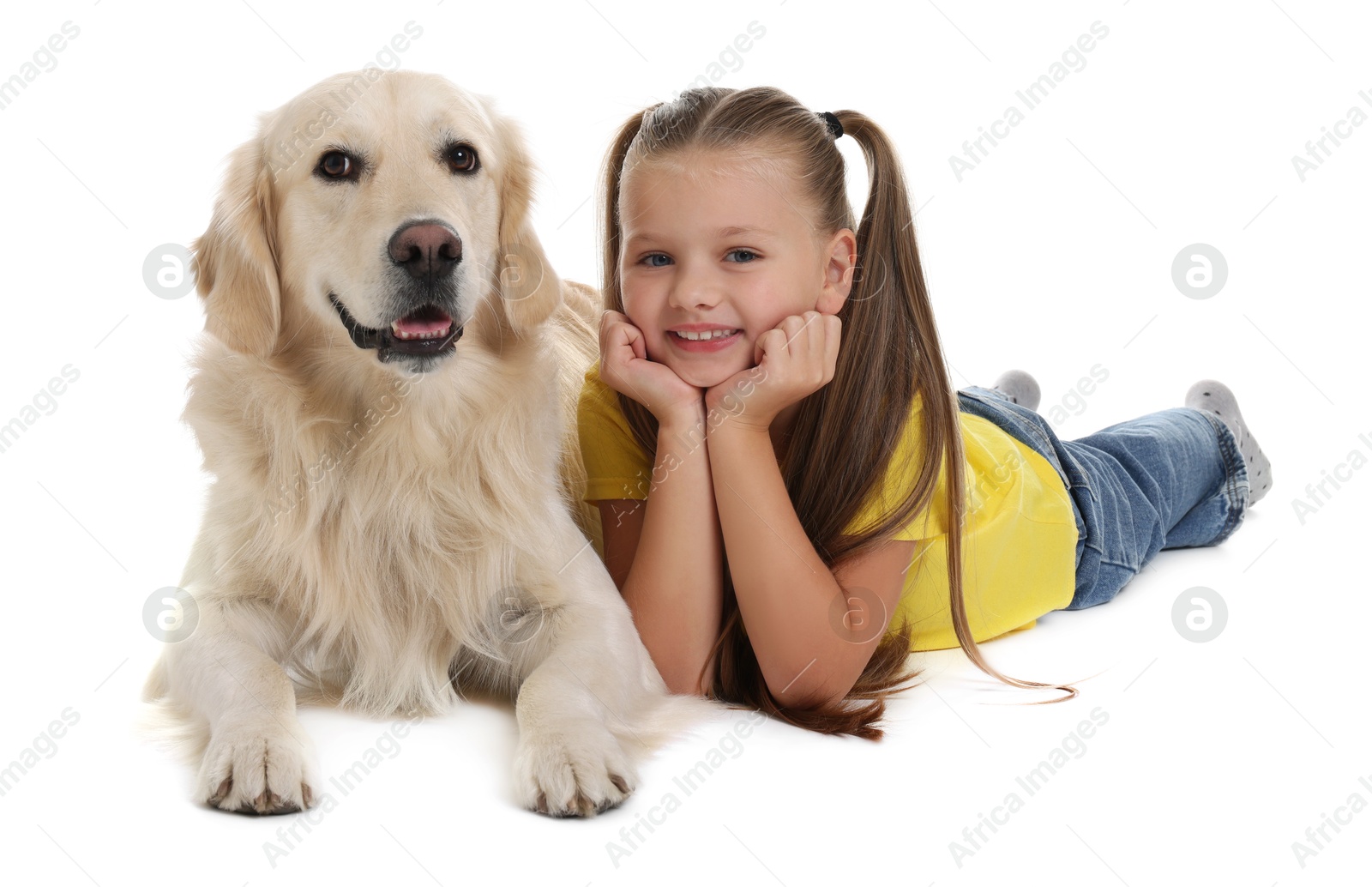 Photo of Girl with her cute Golden Retriever dog lying on white background