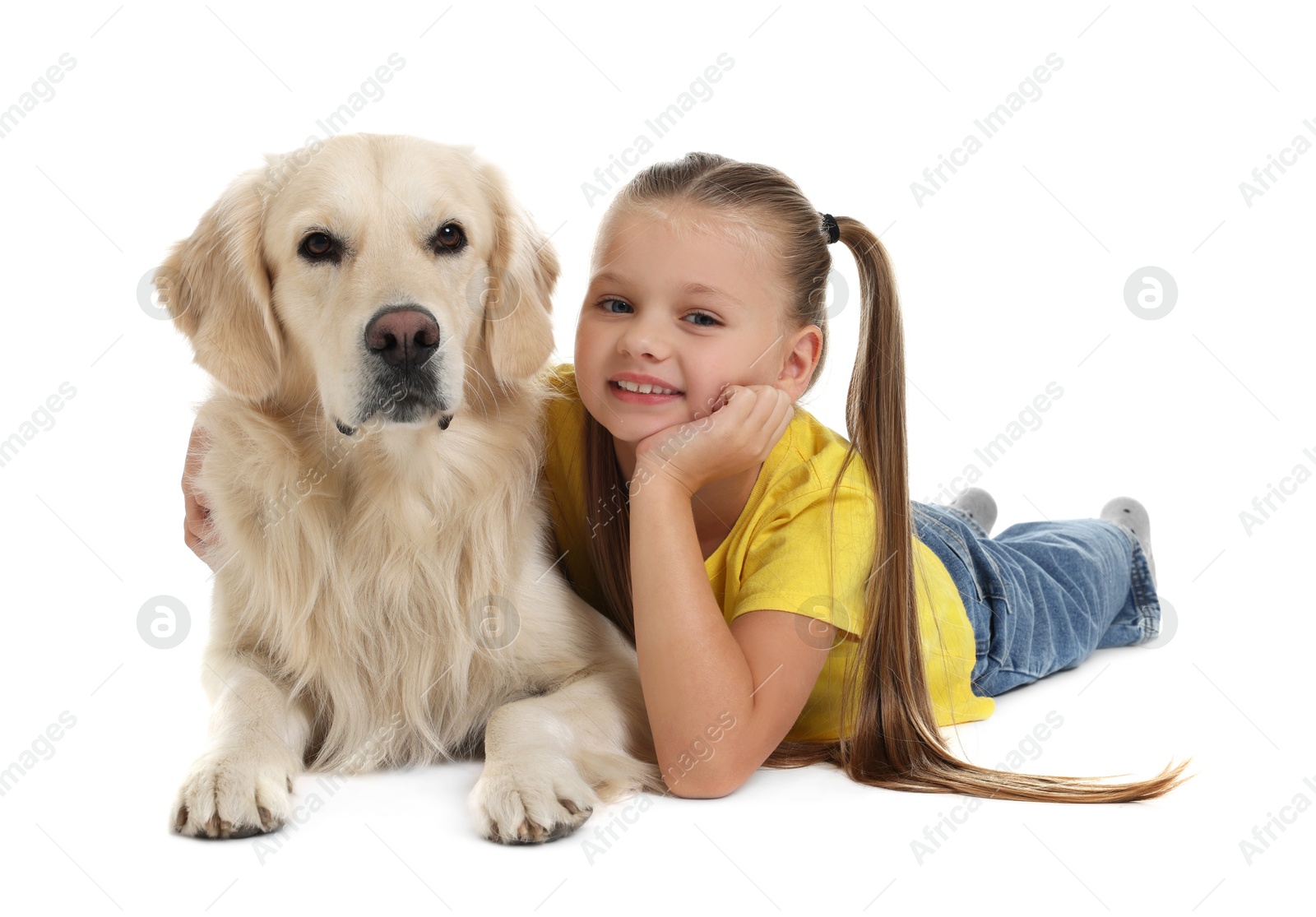 Photo of Girl with her cute Golden Retriever dog lying on white background