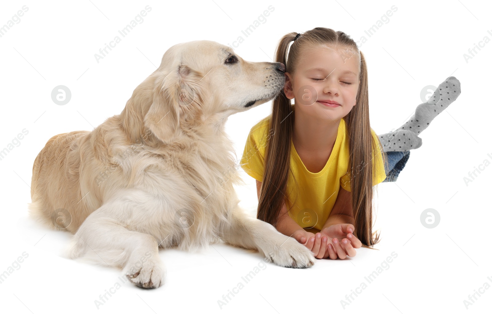 Photo of Girl with her cute Golden Retriever dog lying on white background