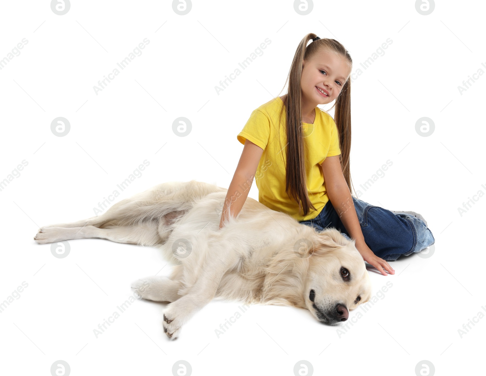 Photo of Girl with her cute Golden Retriever dog on white background