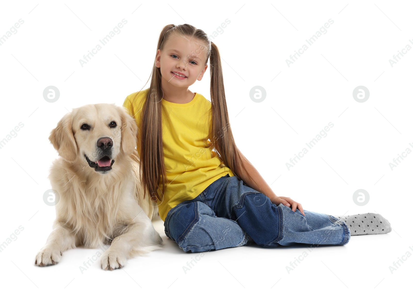 Photo of Girl with her cute Golden Retriever dog on white background