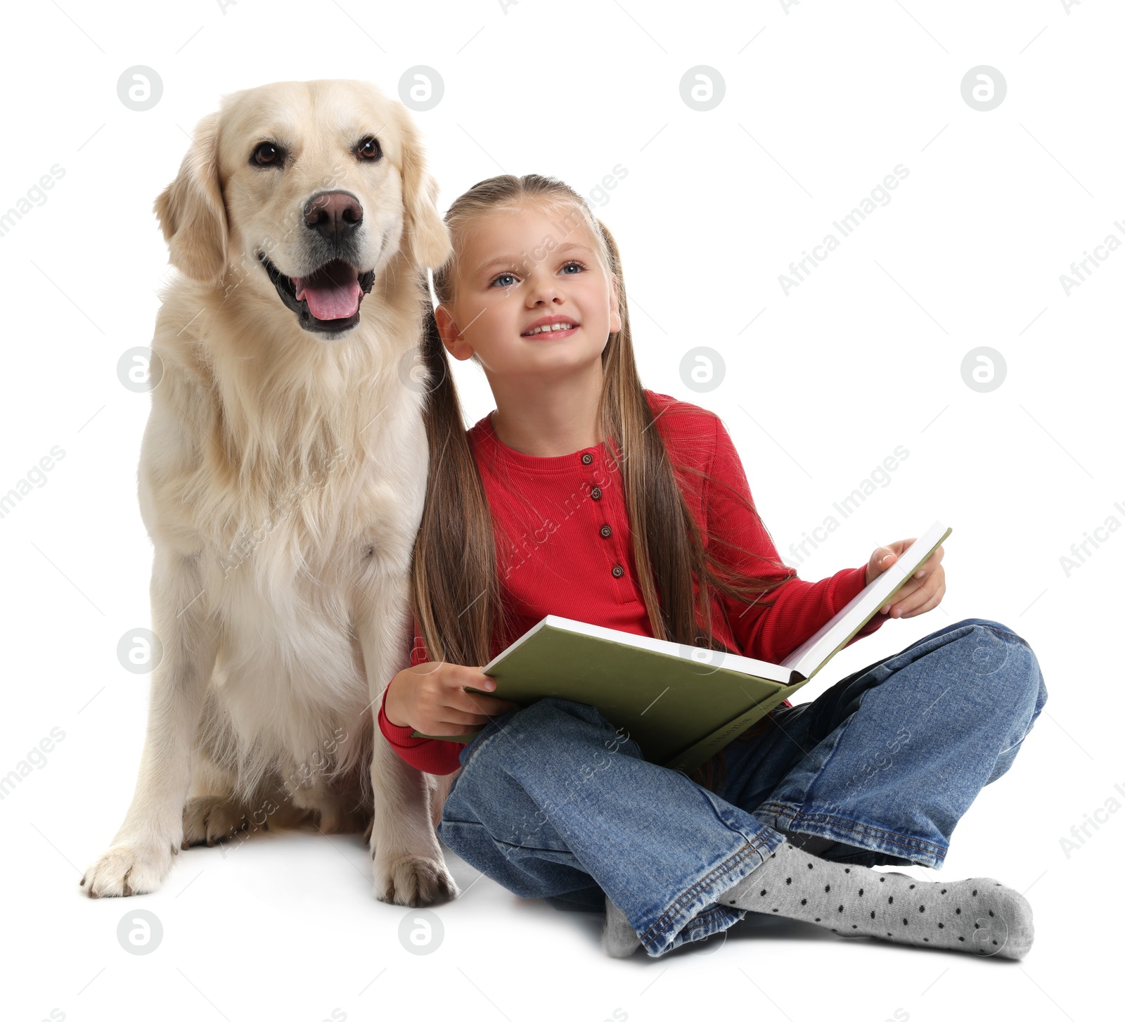 Photo of Girl with book and her cute Golden Retriever dog on white background