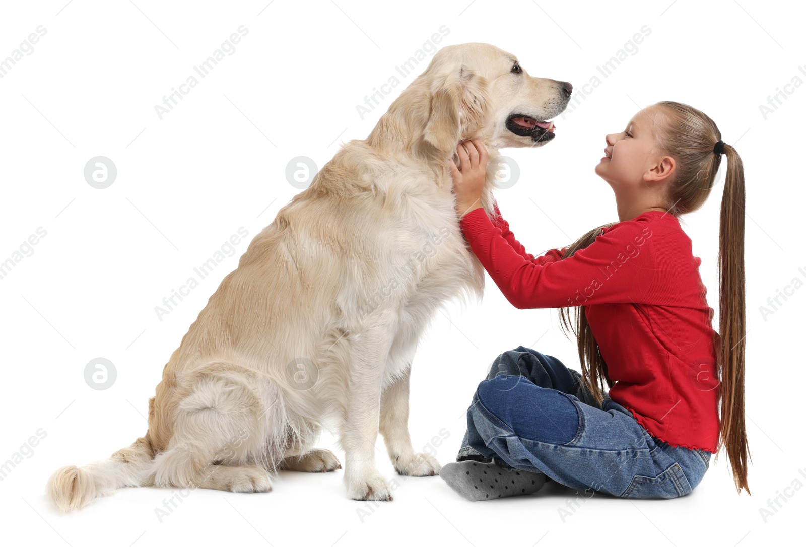 Photo of Girl with her cute Golden Retriever dog on white background