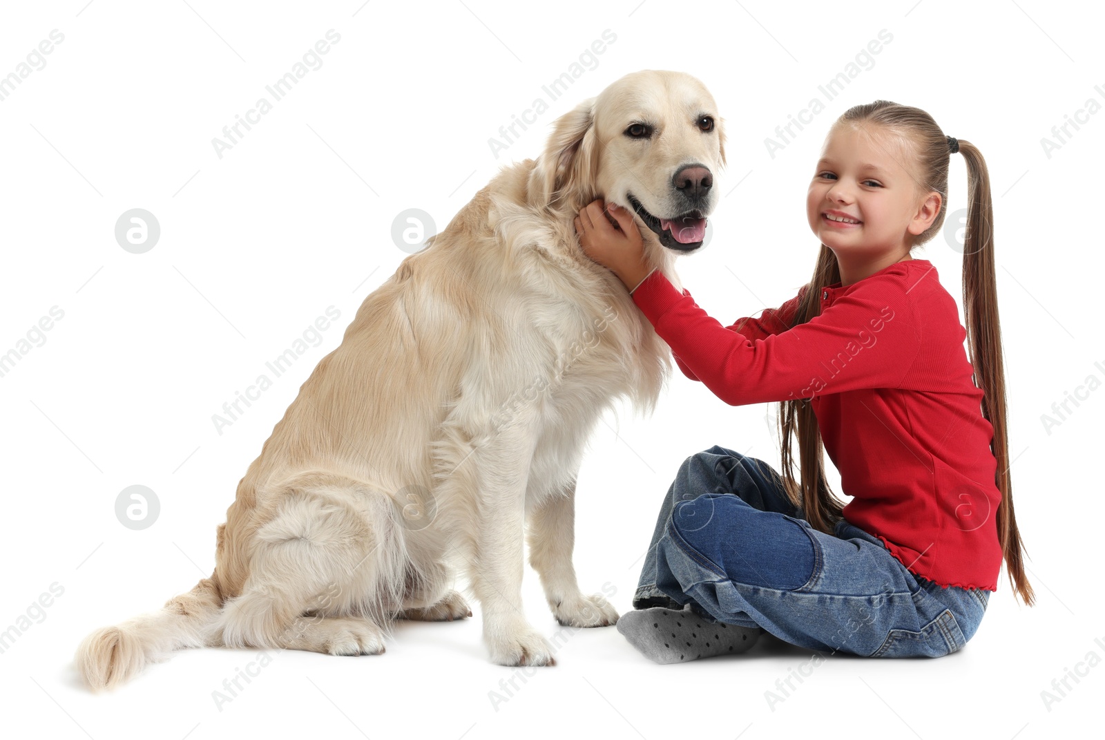 Photo of Girl with her cute Golden Retriever dog on white background