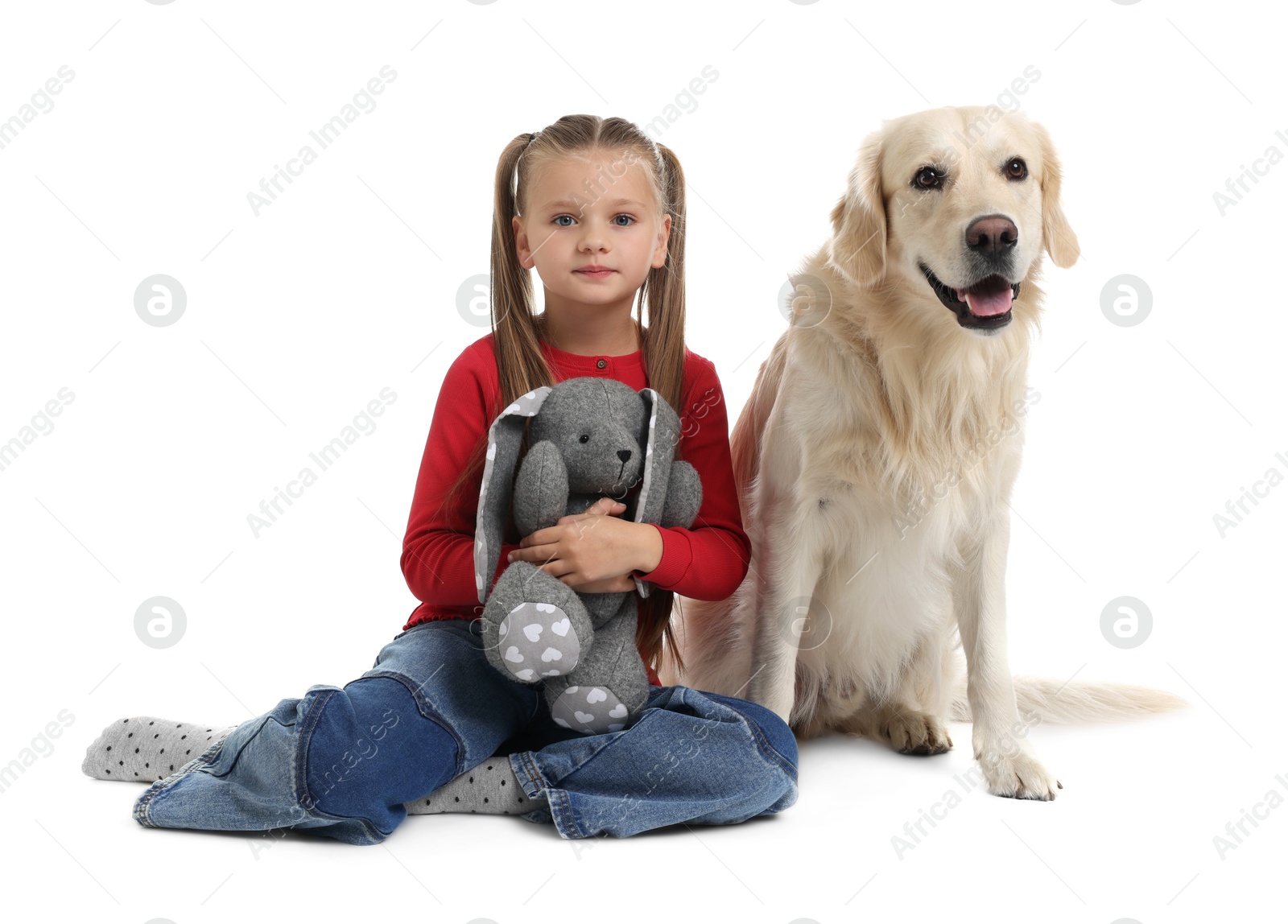 Photo of Girl with toy bunny and her cute Golden Retriever dog on white background