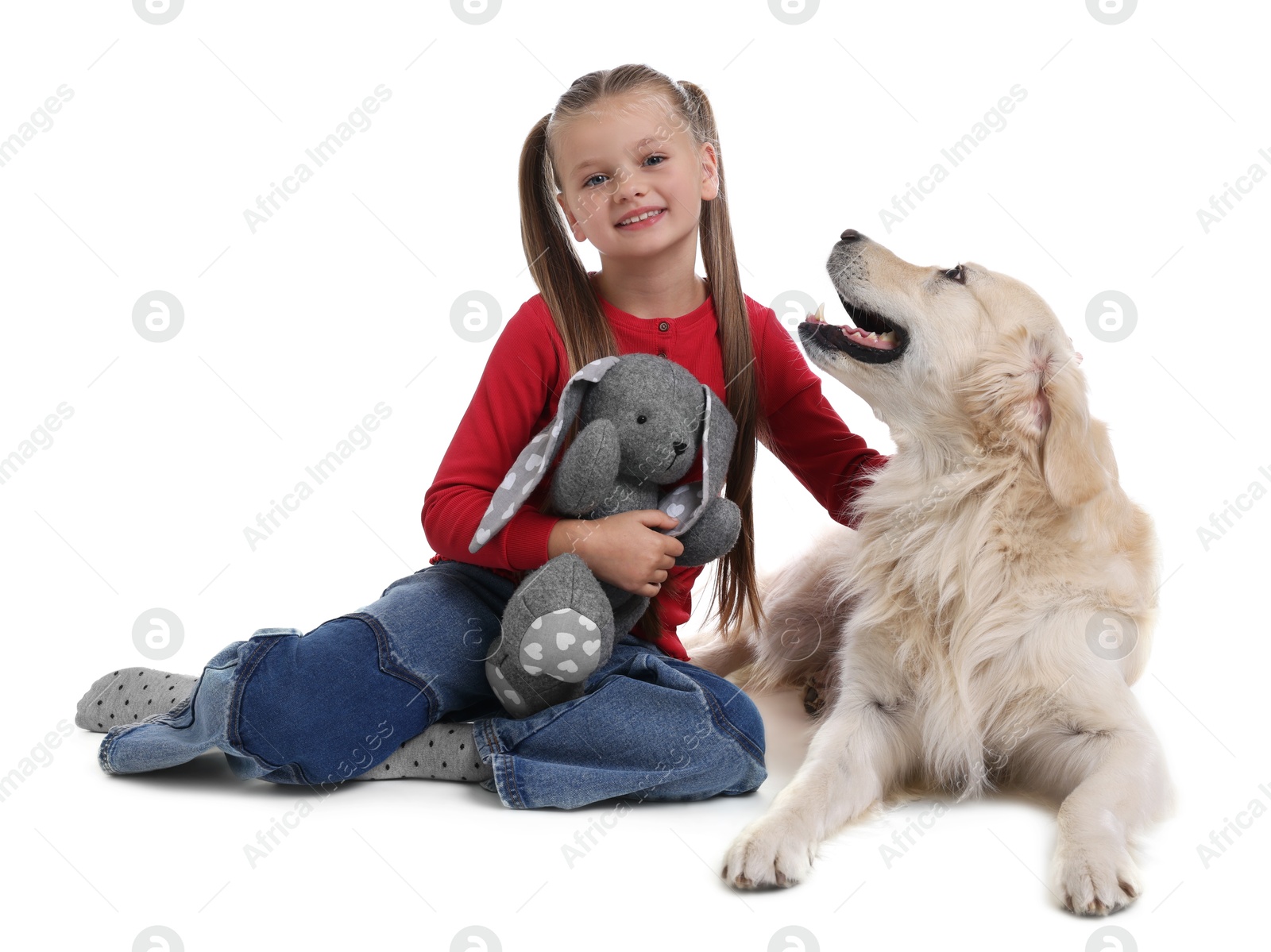 Photo of Girl with toy bunny and her cute Golden Retriever dog on white background