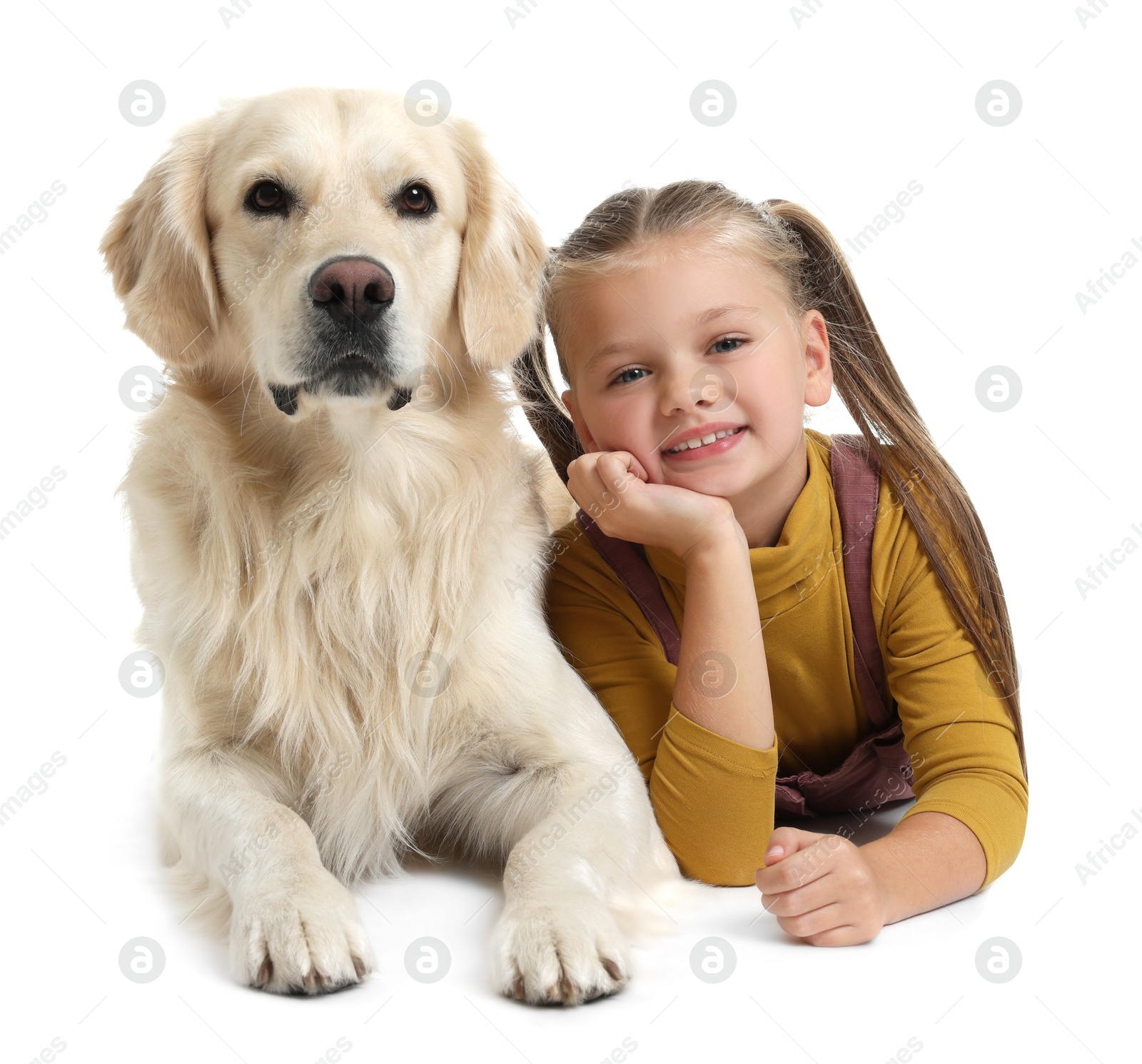 Photo of Girl with her cute Golden Retriever dog lying on white background