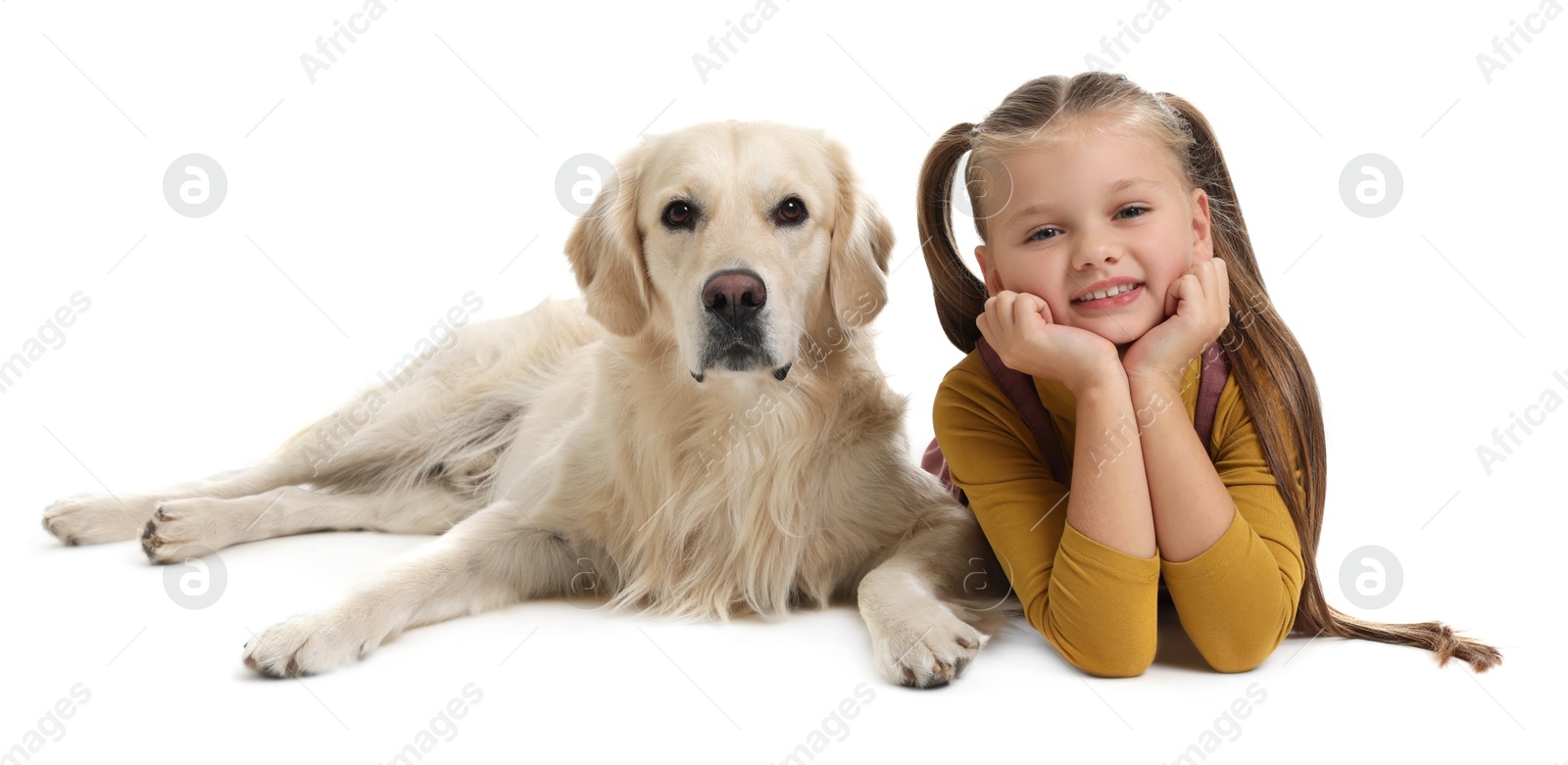 Photo of Girl with her cute Golden Retriever dog lying on white background