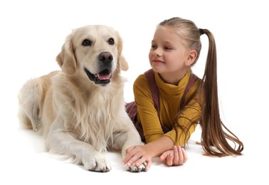 Girl with her cute Golden Retriever dog lying on white background