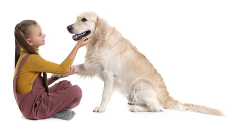 Photo of Girl with her cute Golden Retriever dog on white background