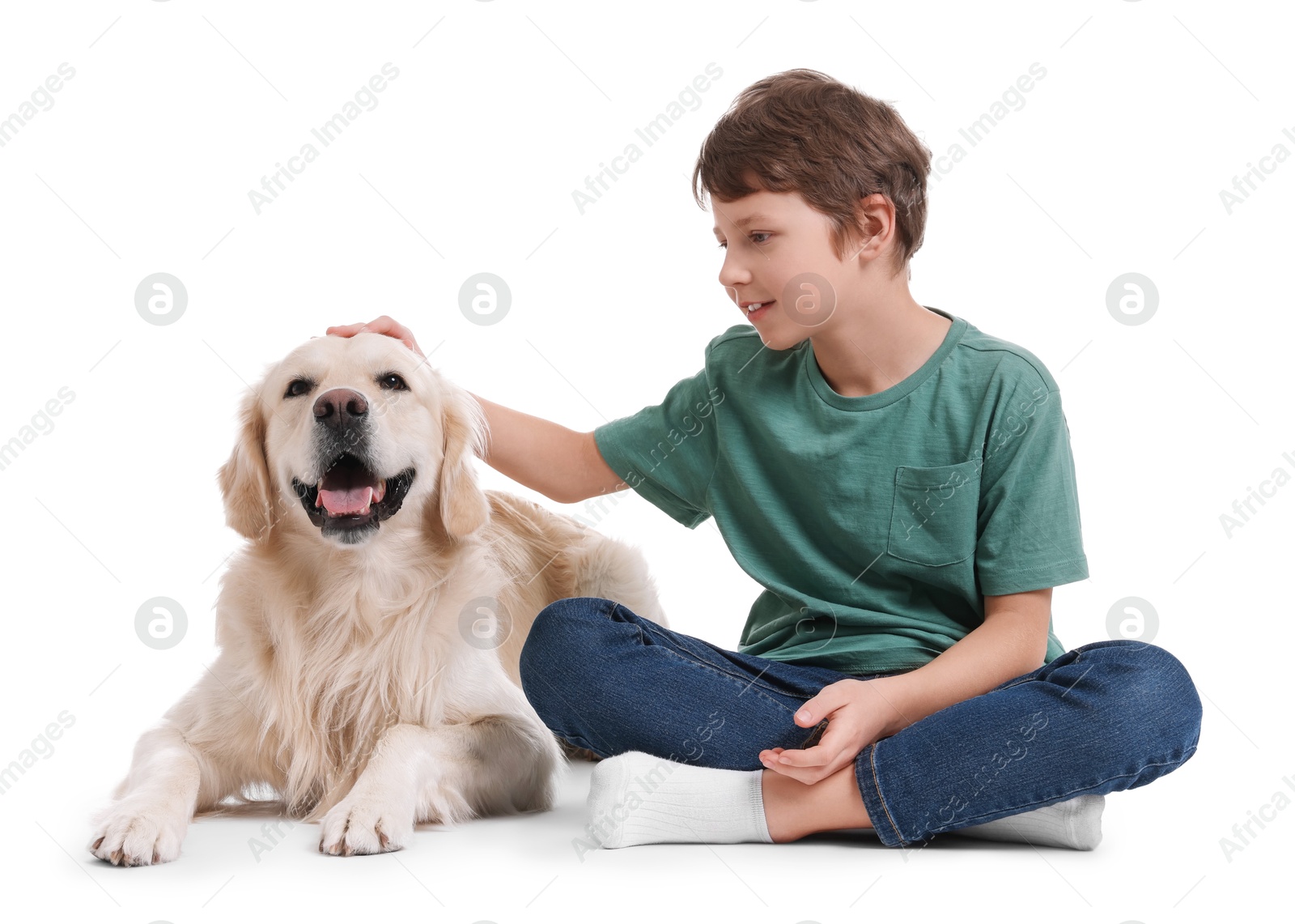 Photo of Boy with his cute dog on white background