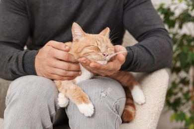 Photo of Man petting cute ginger cat on sofa at home, closeup