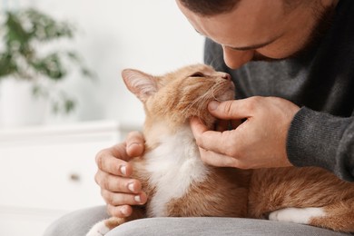 Man petting cute ginger cat on armchair at home