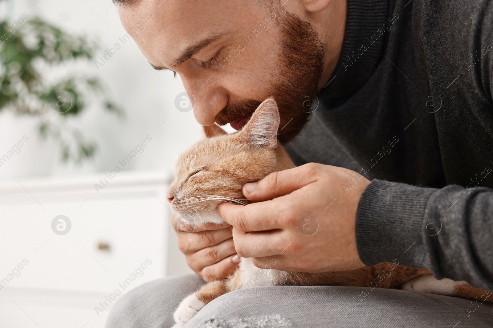 Photo of Man petting cute ginger cat on armchair at home