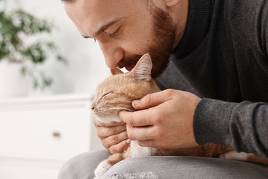 Man petting cute ginger cat on armchair at home