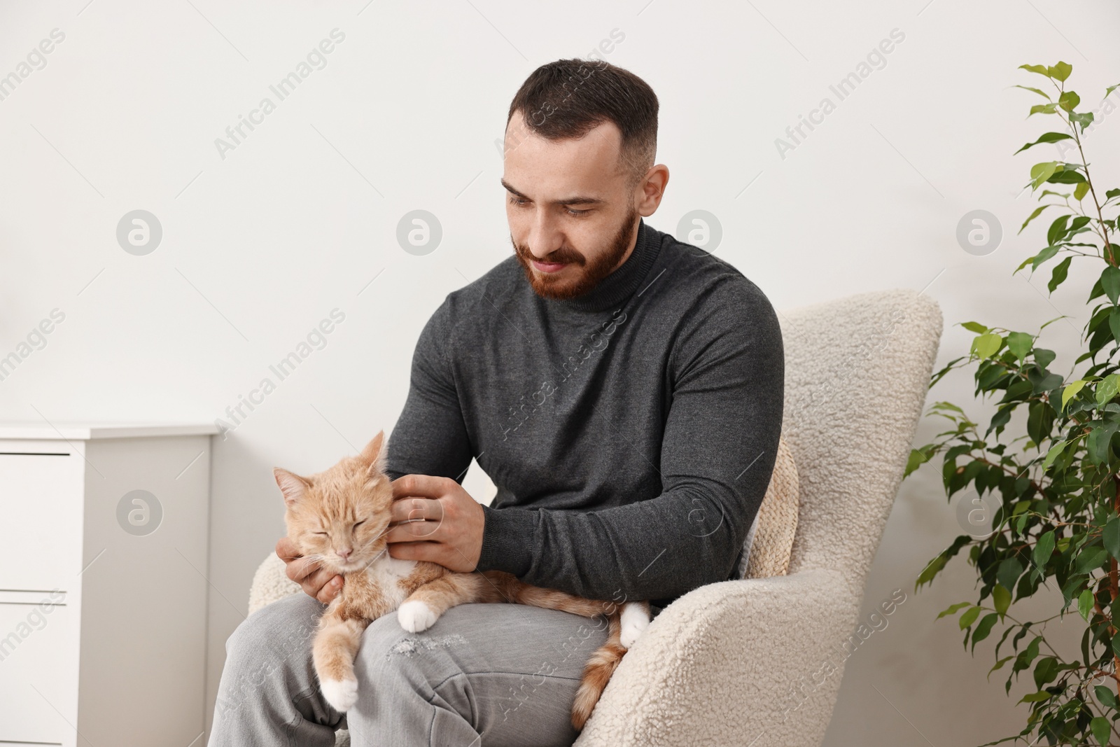 Photo of Man petting cute ginger cat on armchair at home