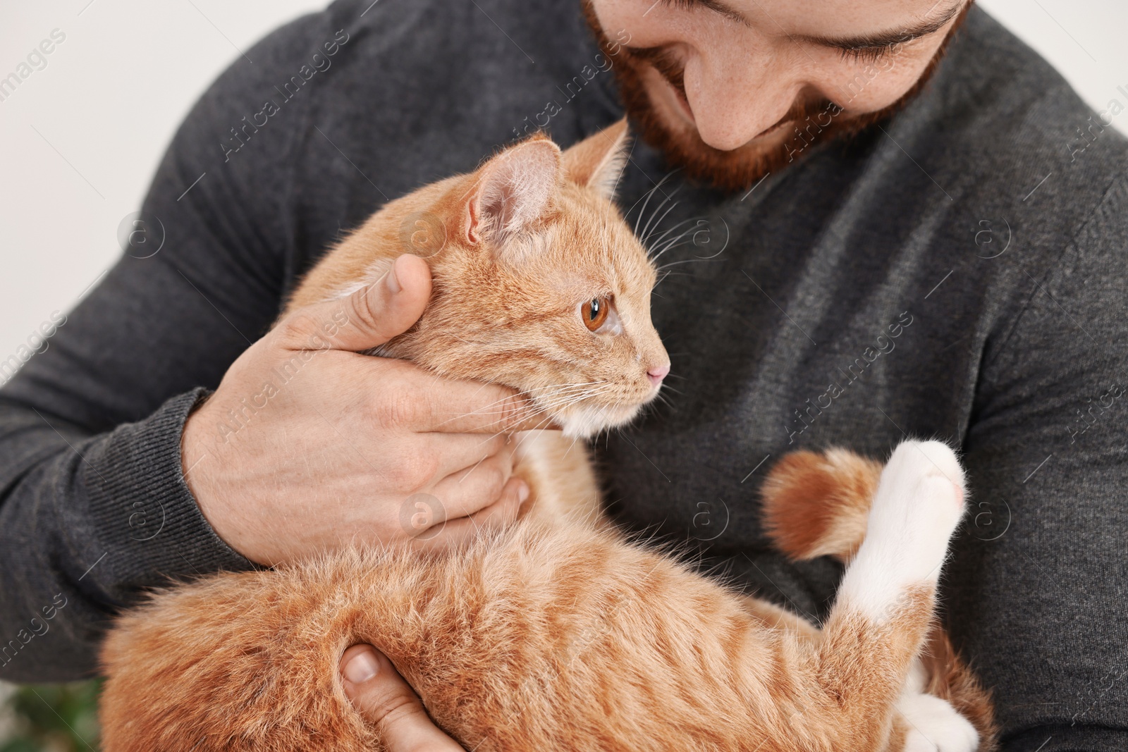 Photo of Man petting cute ginger cat at home, closeup