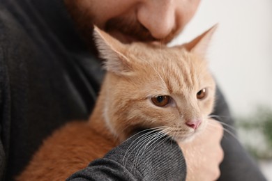 Man petting cute ginger cat at home, closeup