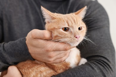 Photo of Man petting cute ginger cat at home, closeup