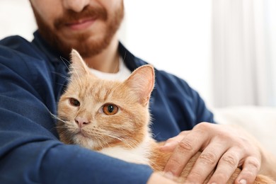 Man petting cute ginger cat on sofa at home, closeup