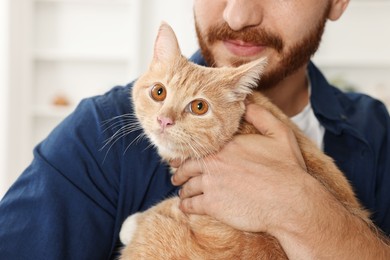 Man petting cute ginger cat at home, closeup