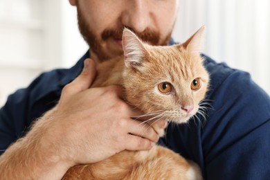 Photo of Man petting cute ginger cat at home, closeup