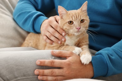 Photo of Man petting cute ginger cat on sofa at home, closeup