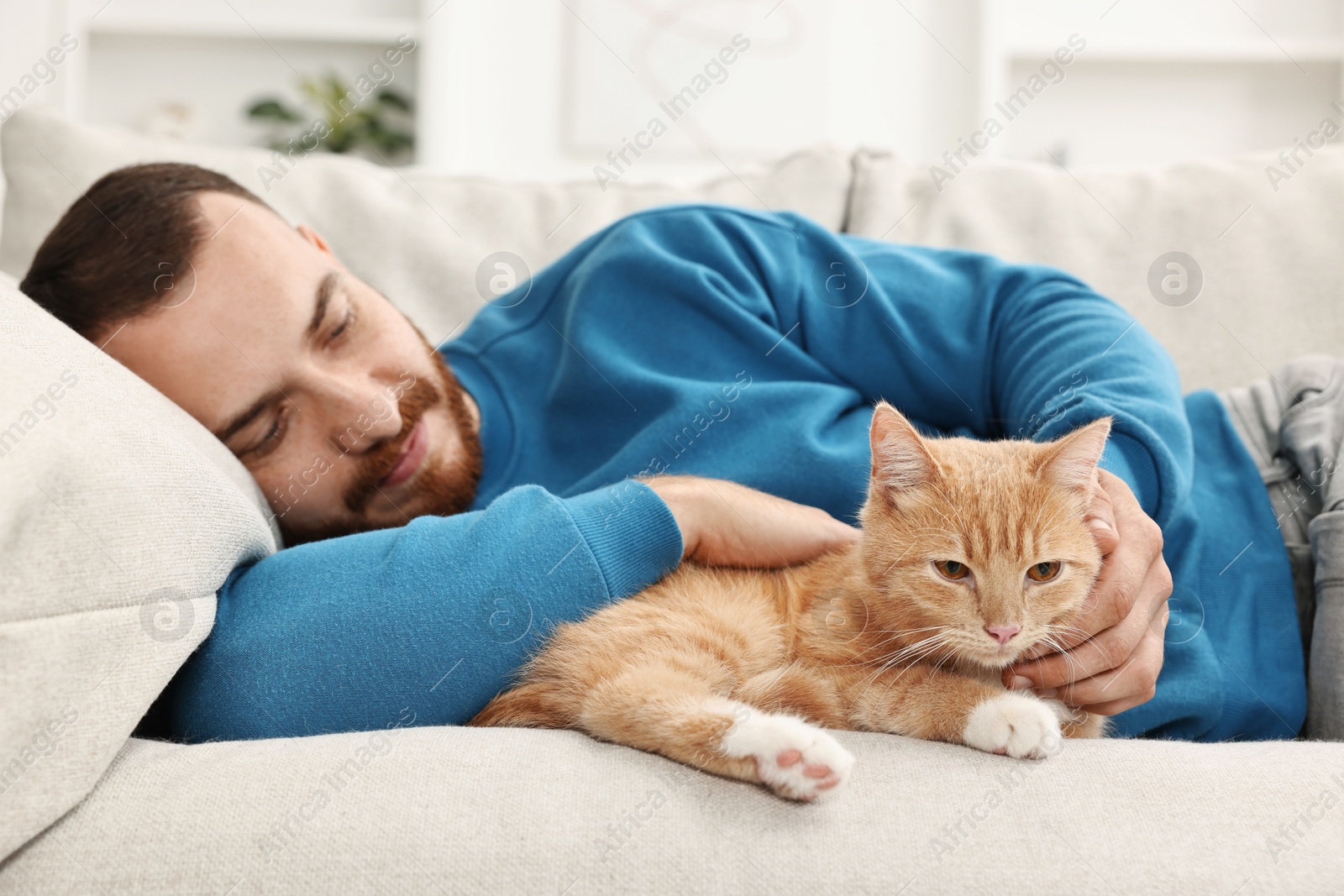 Photo of Man petting cute ginger cat on sofa at home