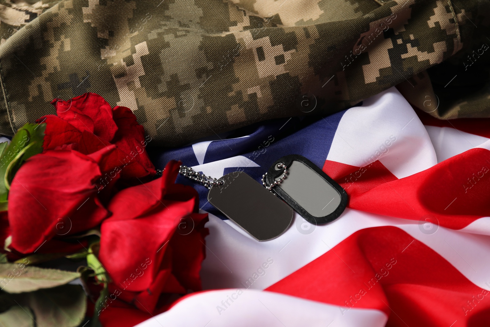 Photo of Veterans day. American flag, roses, army tokens and military uniform