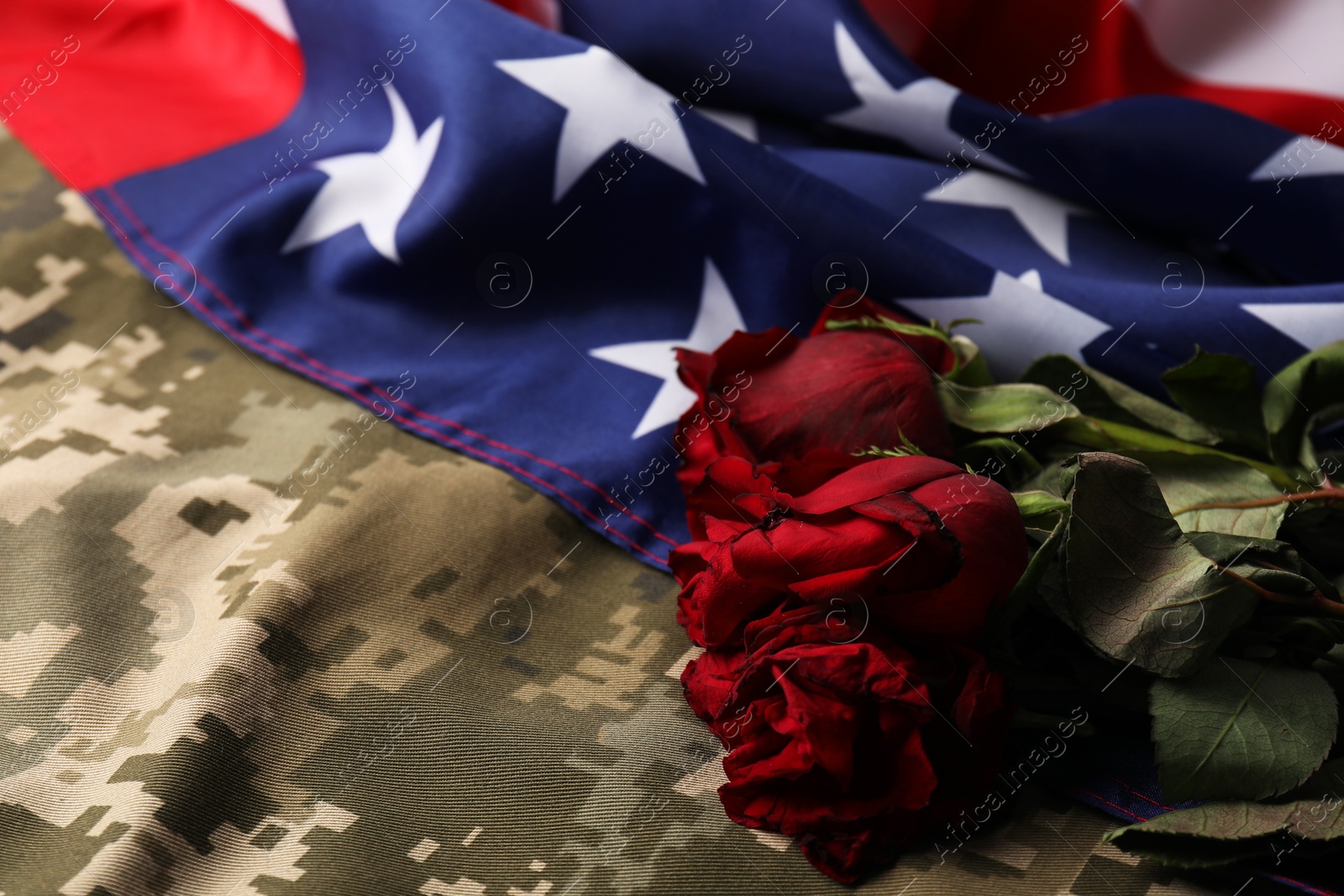 Photo of Veterans day. American flag, roses and military uniform, closeup