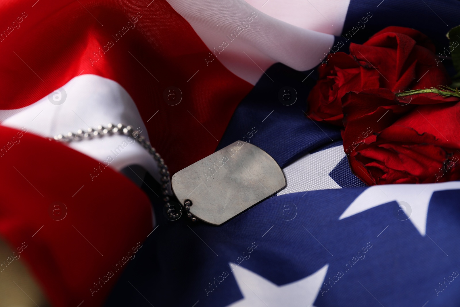 Photo of Veterans day. Army token, American flag and roses, closeup