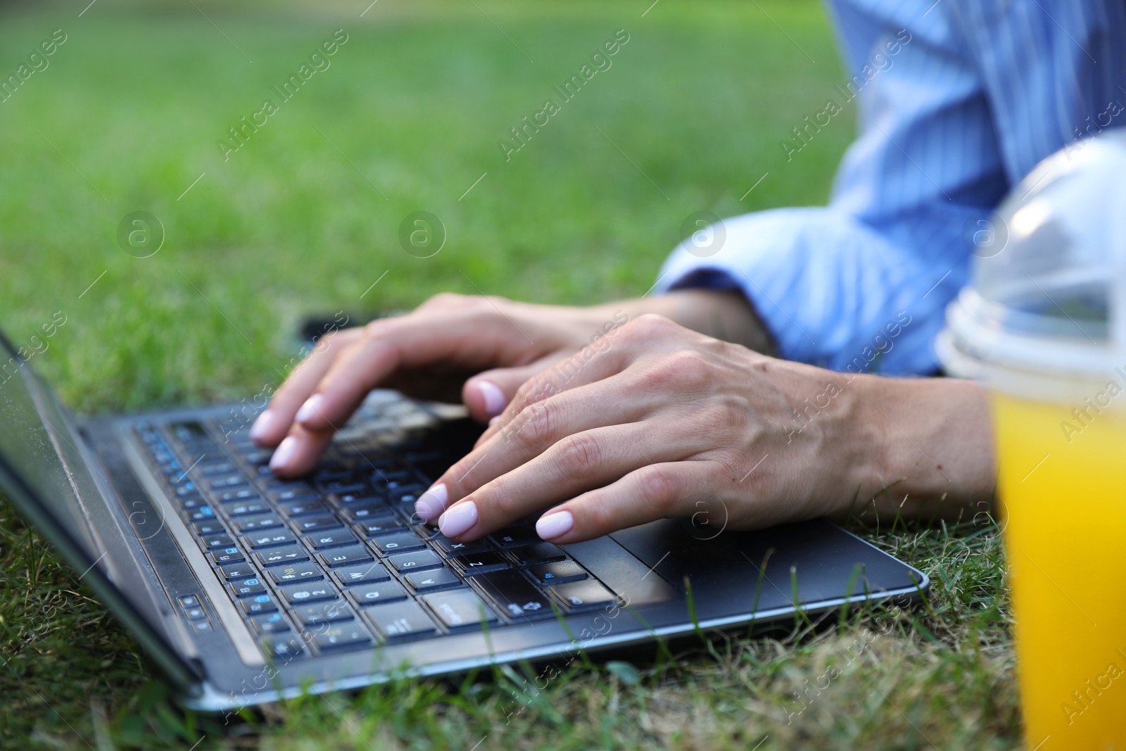 Photo of Woman using laptop on green lawn in park, closeup