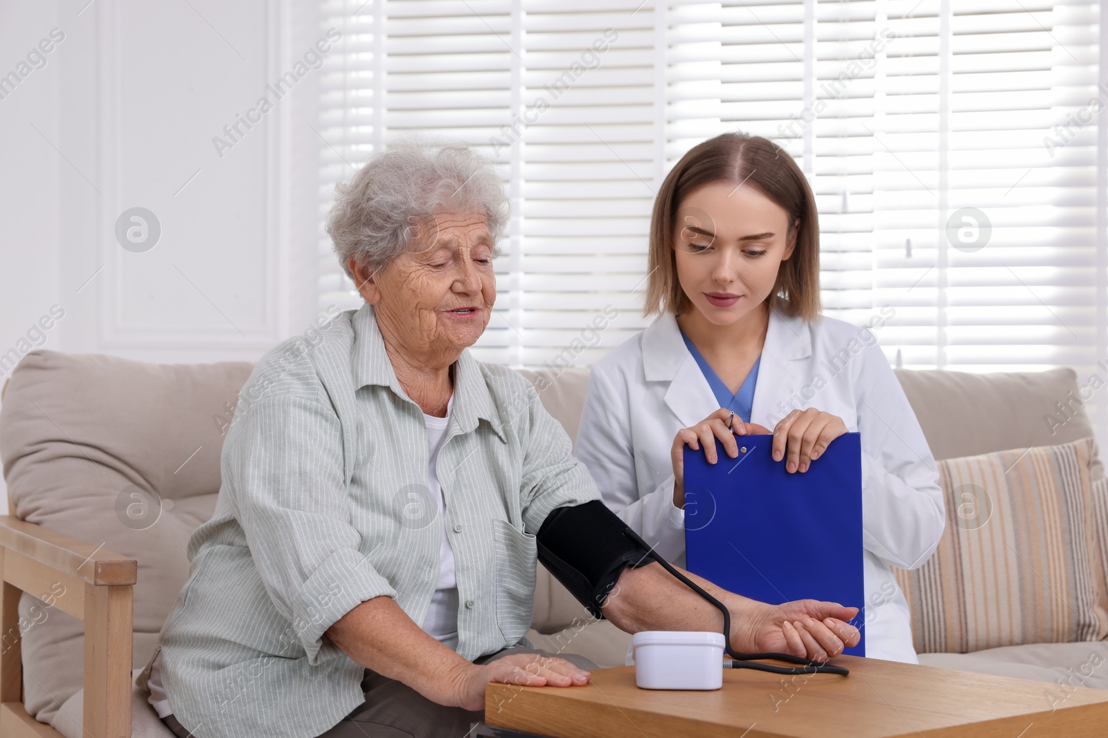 Photo of Doctor measuring patient's blood pressure at wooden table indoors