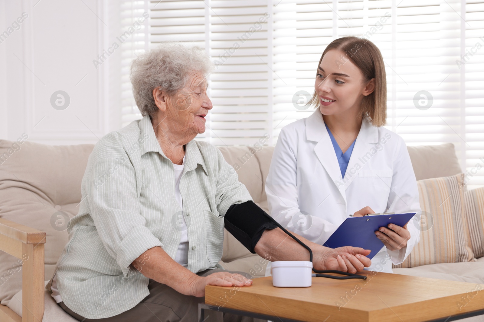 Photo of Senior woman measuring blood pressure while doctor taking notes indoors