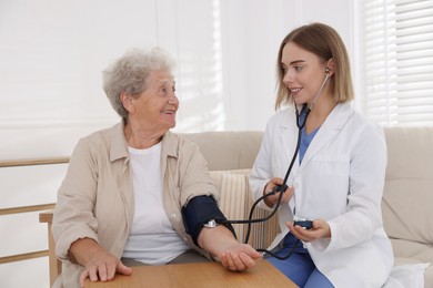 Doctor measuring patient's blood pressure at wooden table indoors