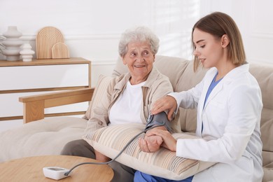 Doctor measuring patient's blood pressure on sofa indoors