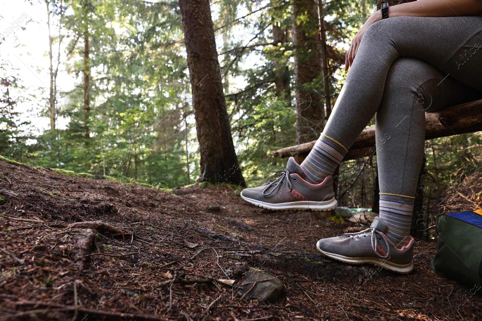 Photo of Young hiker wearing sneakers in forest, closeup