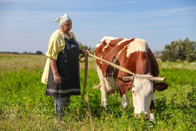 Senior woman with beautiful cow on pasture