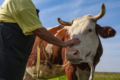 Senior woman with beautiful cow on pasture, closeup