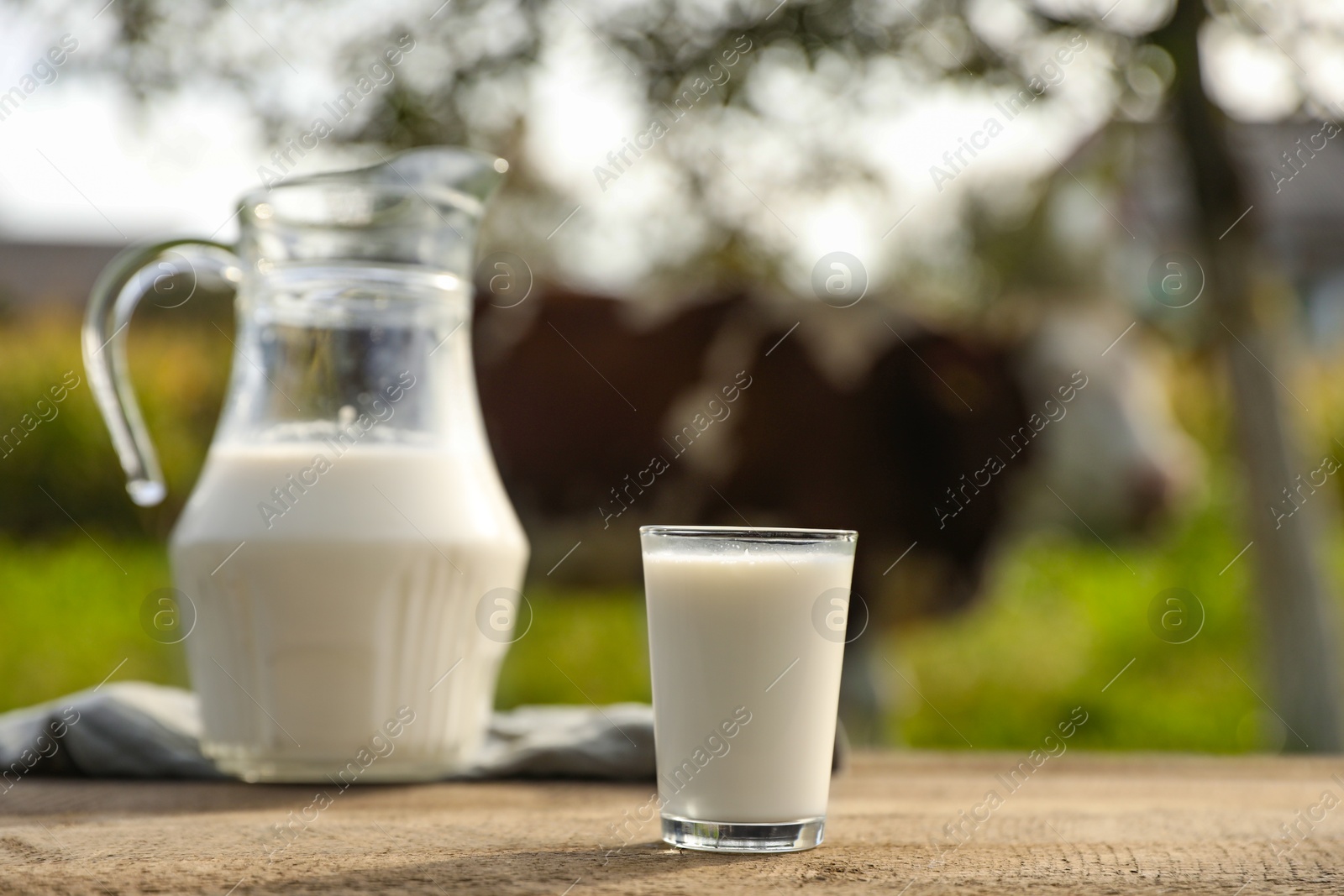 Photo of Fresh milk in jug and glass on wooden table outdoors