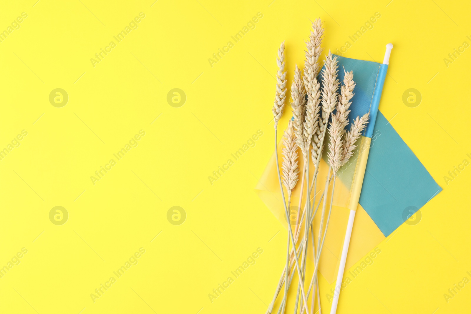 Photo of Ears of wheat and Ukrainian national flag on yellow background, flat lay. Space for text